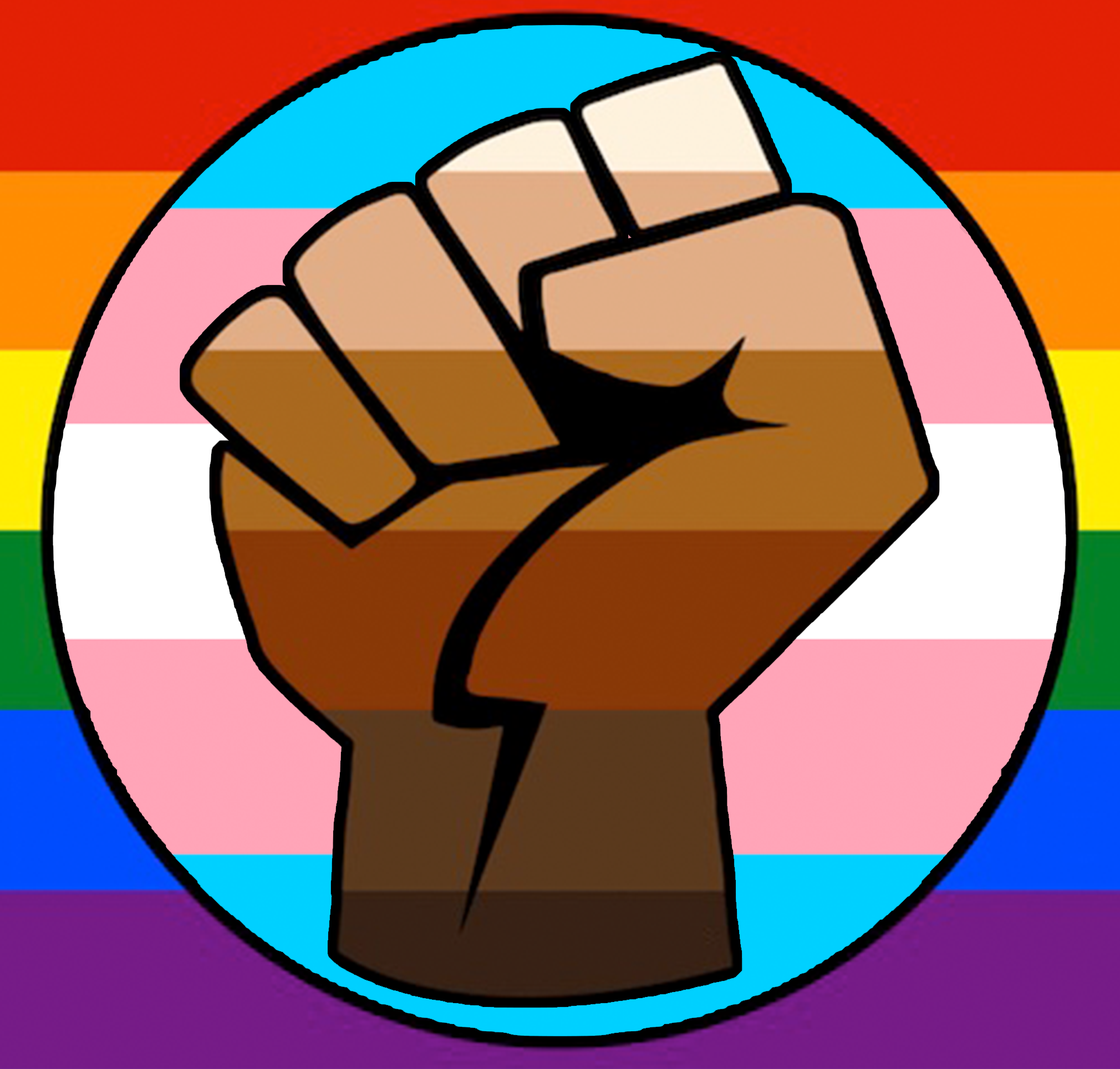 LGBT Gay Trans Pride BLM Solidarity Fist Flag